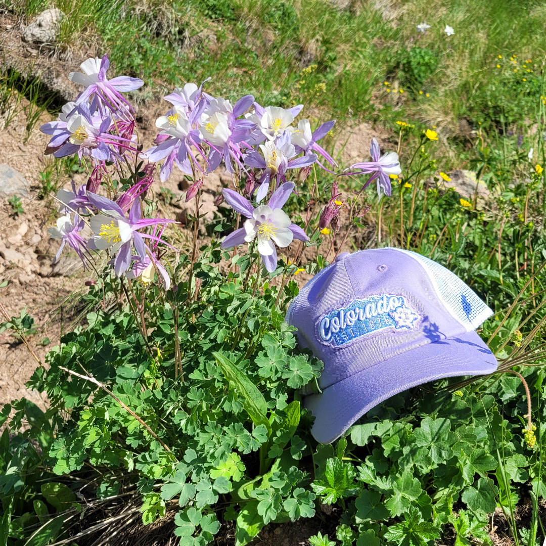 Mountain Bloom Hat - Unstructured - Purple/White