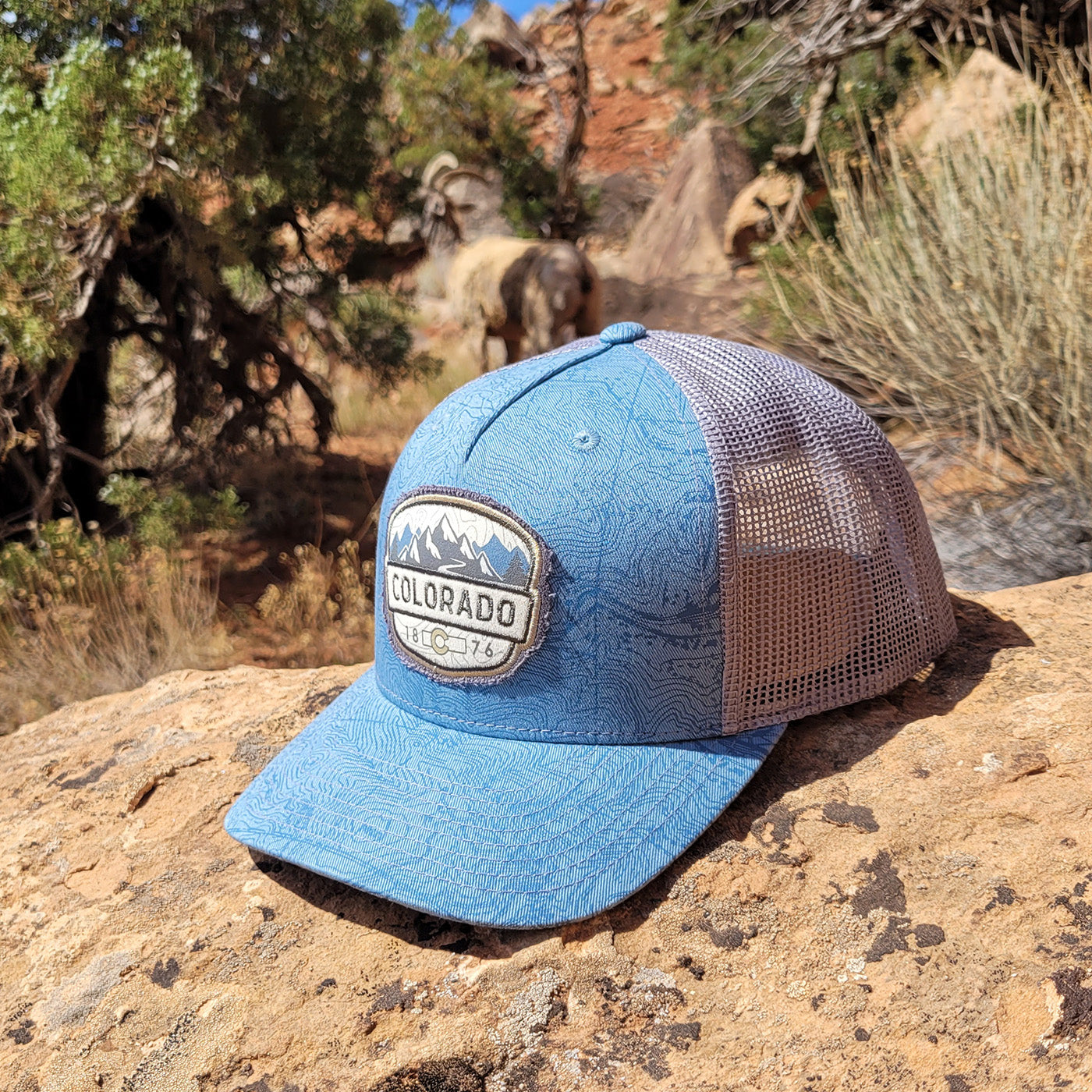 Contour Trucker Hat - Blue