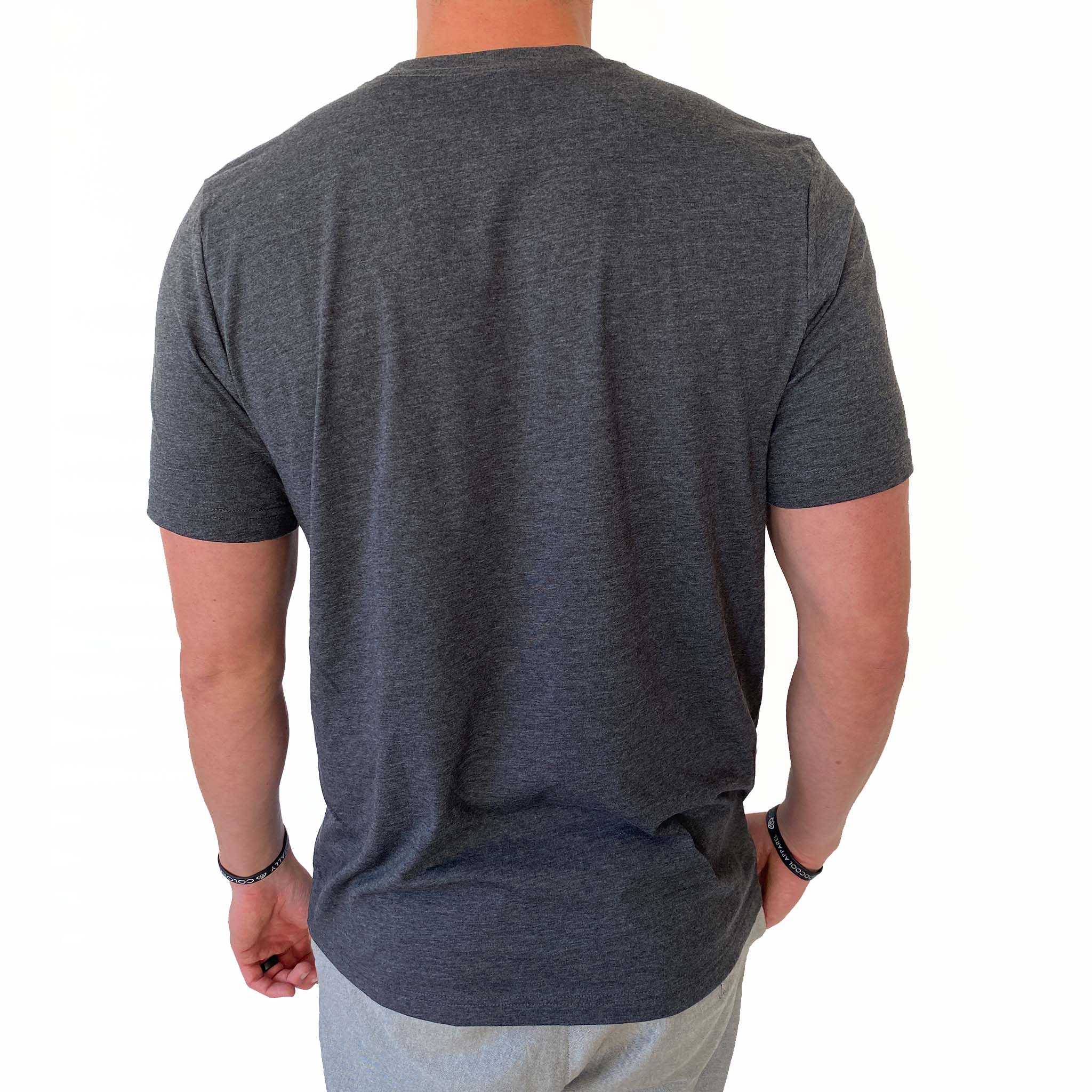 Colorado Flag Landmark T-Shirt- Charcoal