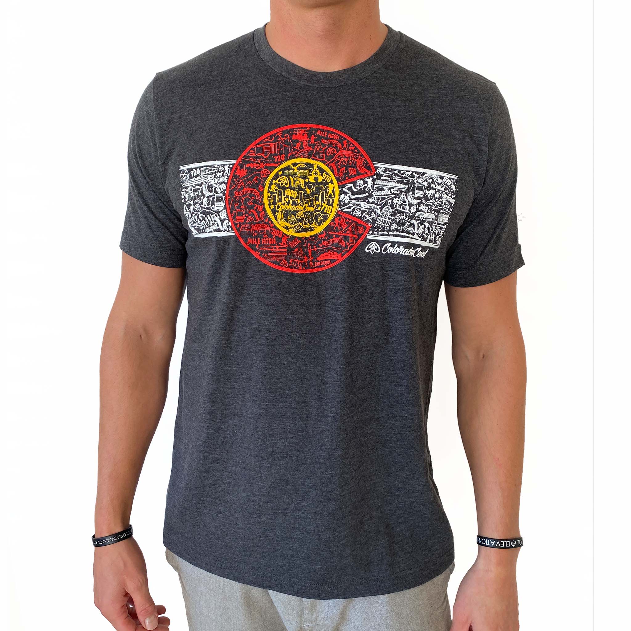 Colorado Flag Landmark T-Shirt- Charcoal