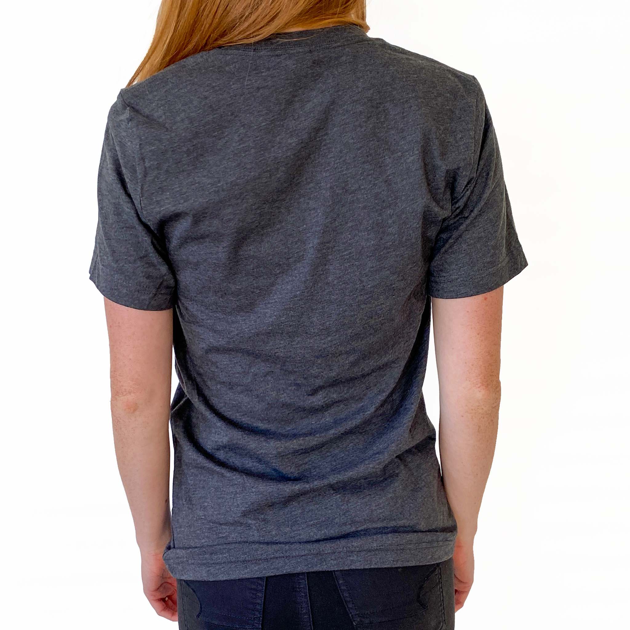 Colorado Flag Landmark T-Shirt- Charcoal