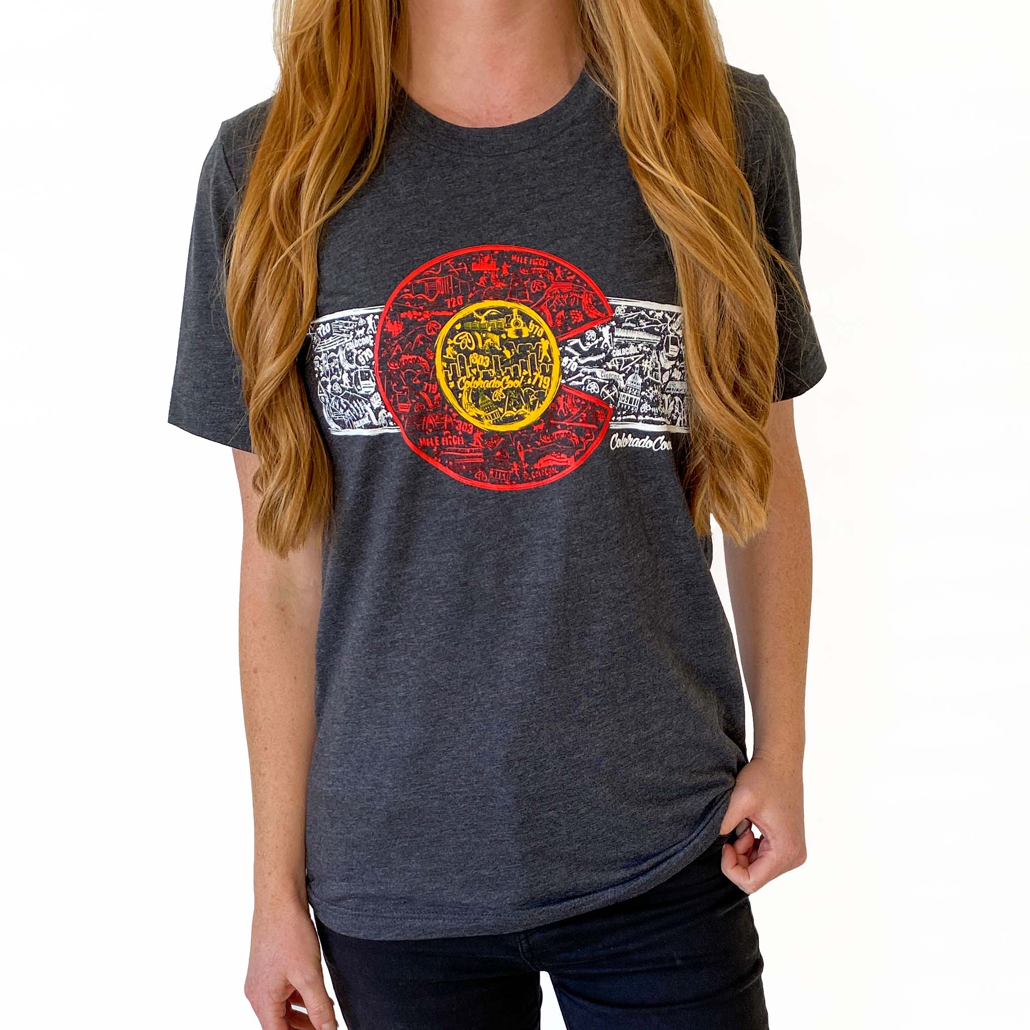 Colorado Flag Landmark T-Shirt- Charcoal