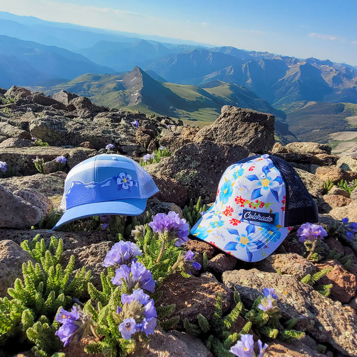 Alpine Bloom Hat - Purple/White
