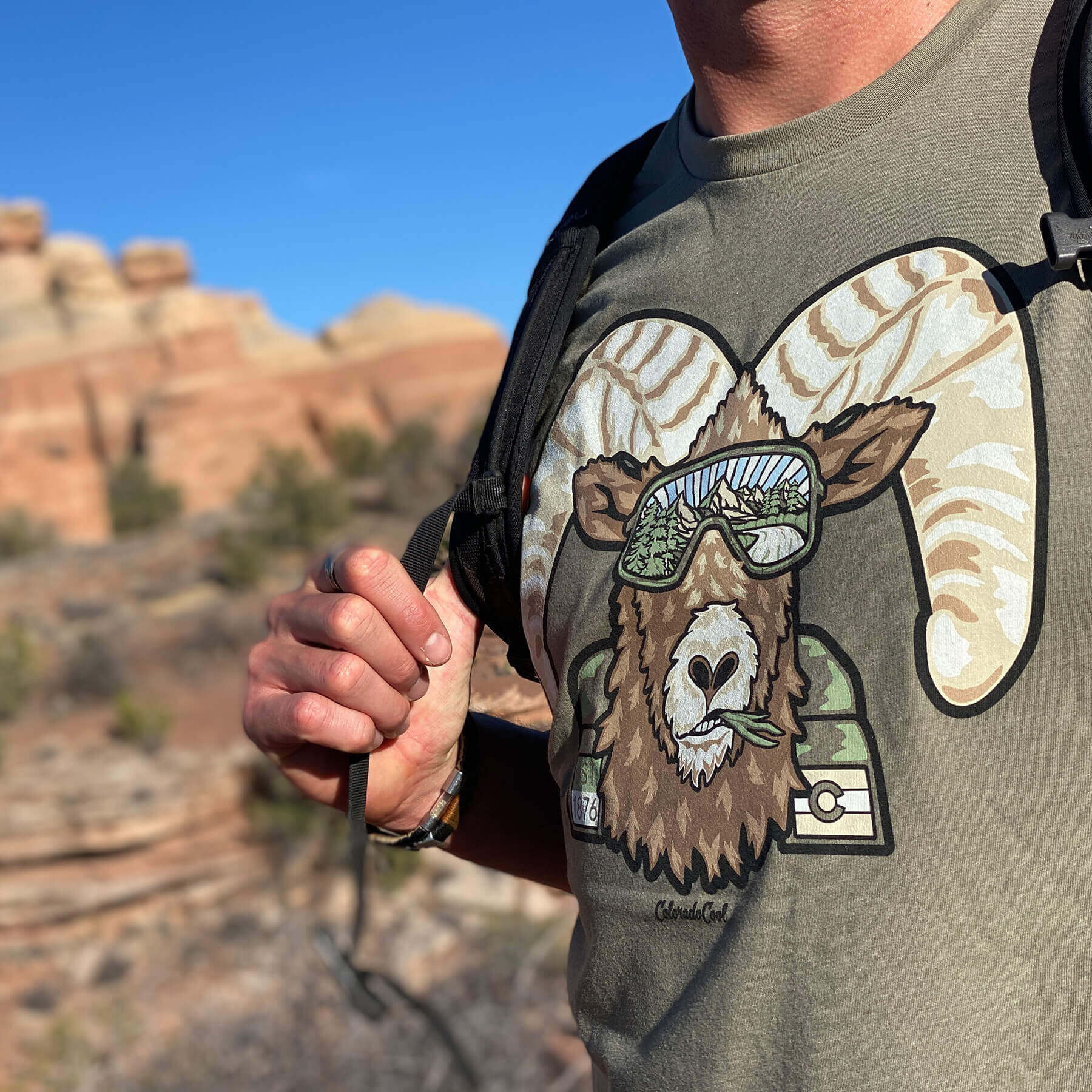 Colorado Bighorn Sheep (Ram) T-Shirt Closeup