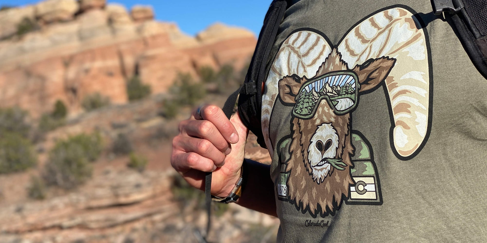 Colorado Bighorn Sheep (Ram) T-Shirt Closeup