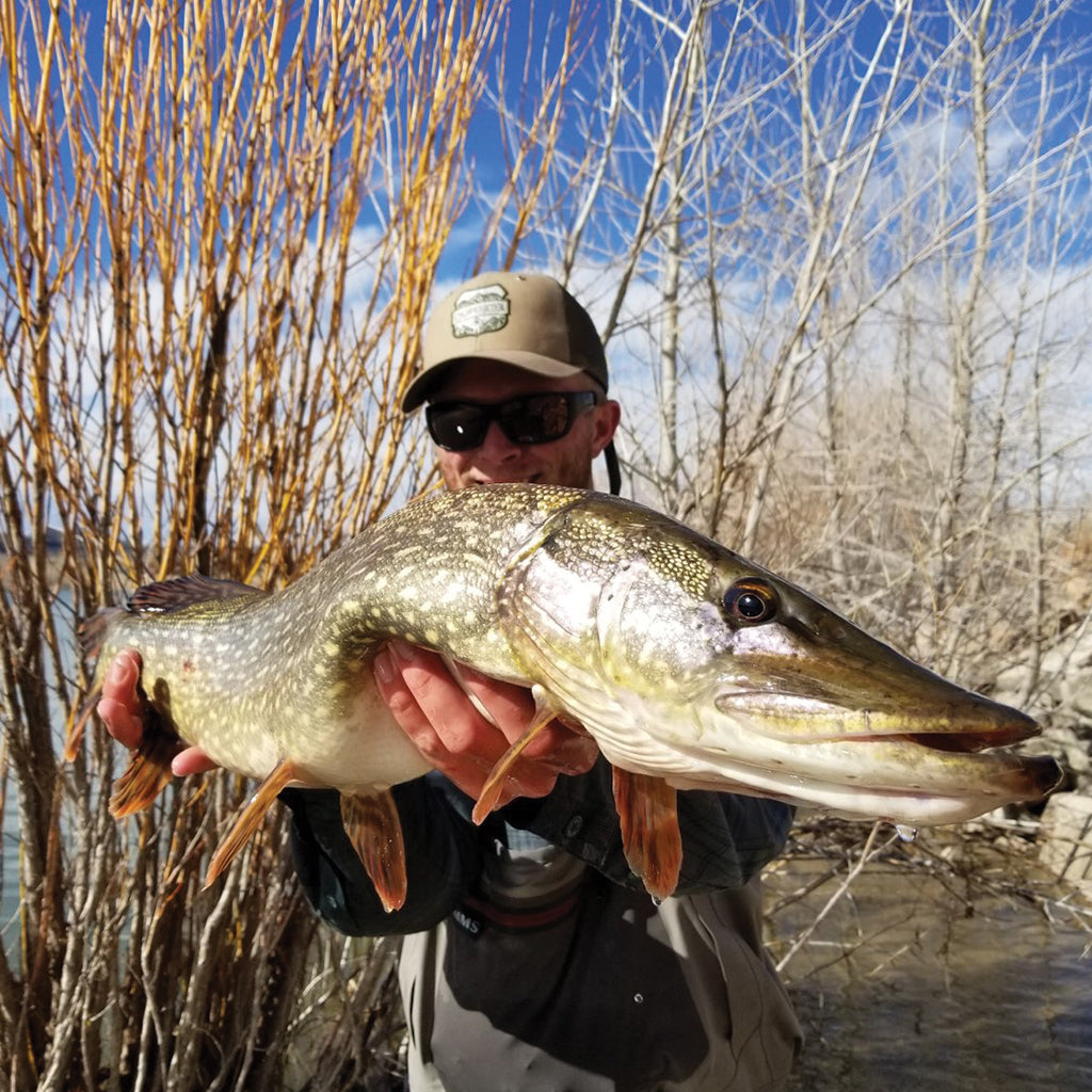 Colorado store fishing hat