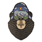 Colorado Bear Sticker